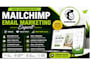 design mailchimp template, fix low email campaign as email marketing specialist